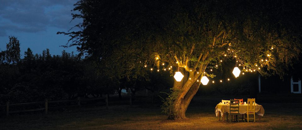 How to Transform Your Garden This Summer